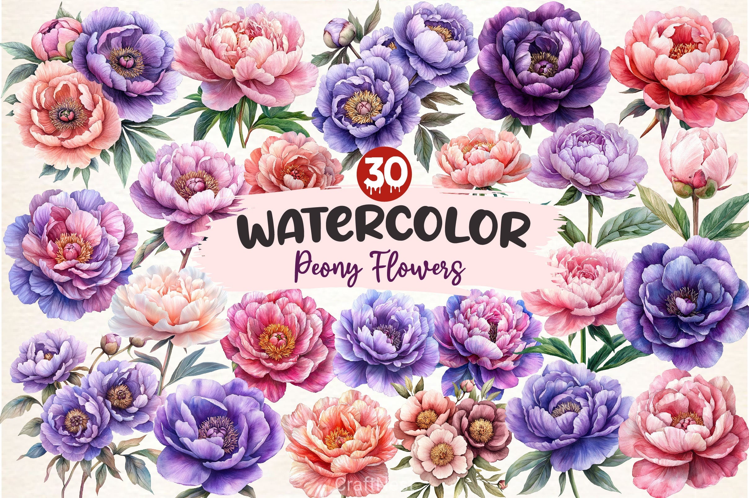 Pink & Purple Peony Flowers Clipart Bundle - CraftNest - Digital Crafting and Art