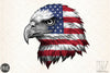Eagle USA Flag 4th of July Clipart Bundle