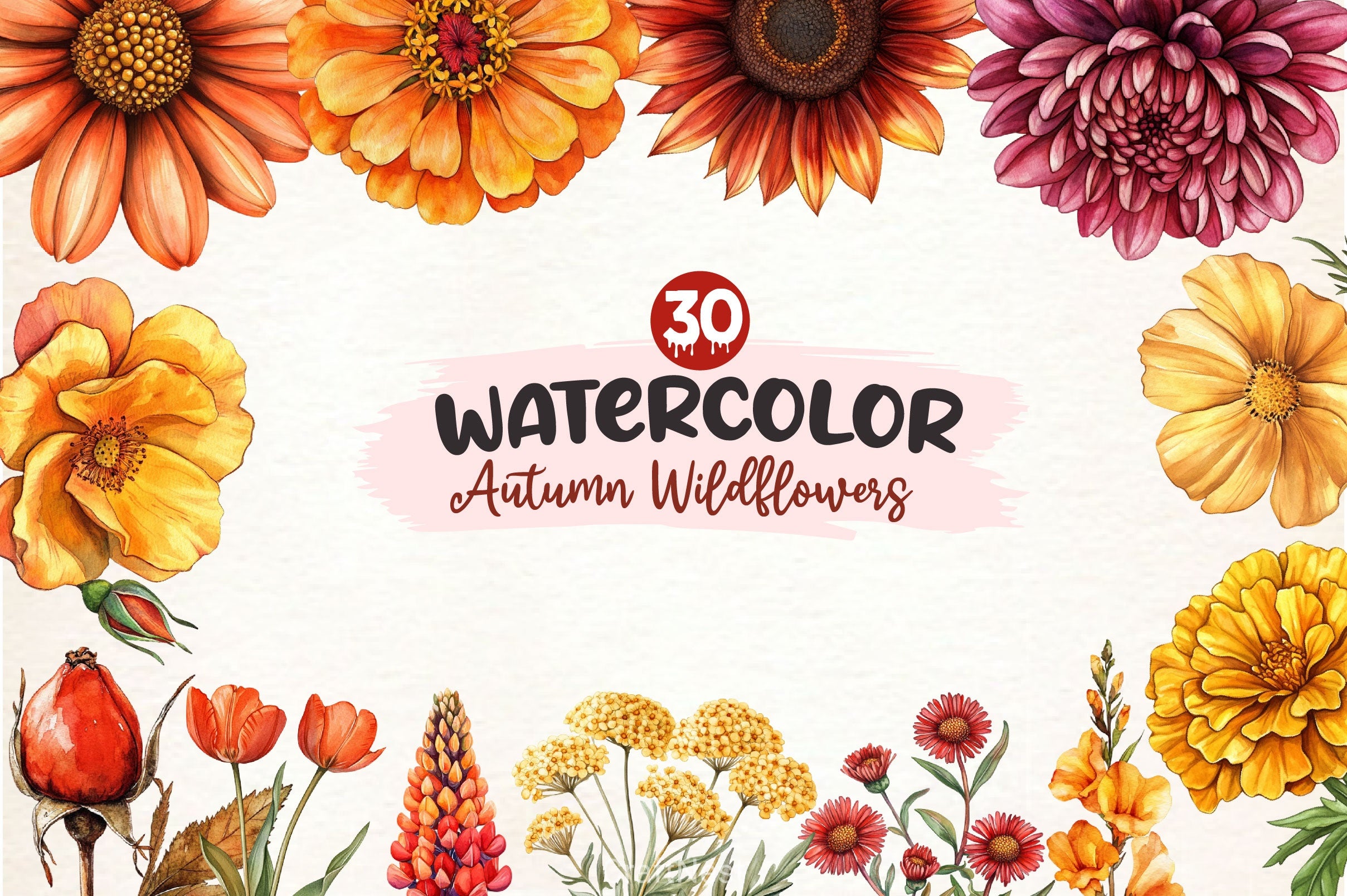 Autumn Wildflowers Clipart Bundle 2 - CraftNest - Digital Crafting and Art