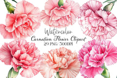 Carnation Flower Clipart Bundle - CraftNest - Digital Crafting and Art