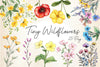 Tiny Wildflowers Clipart Bundle