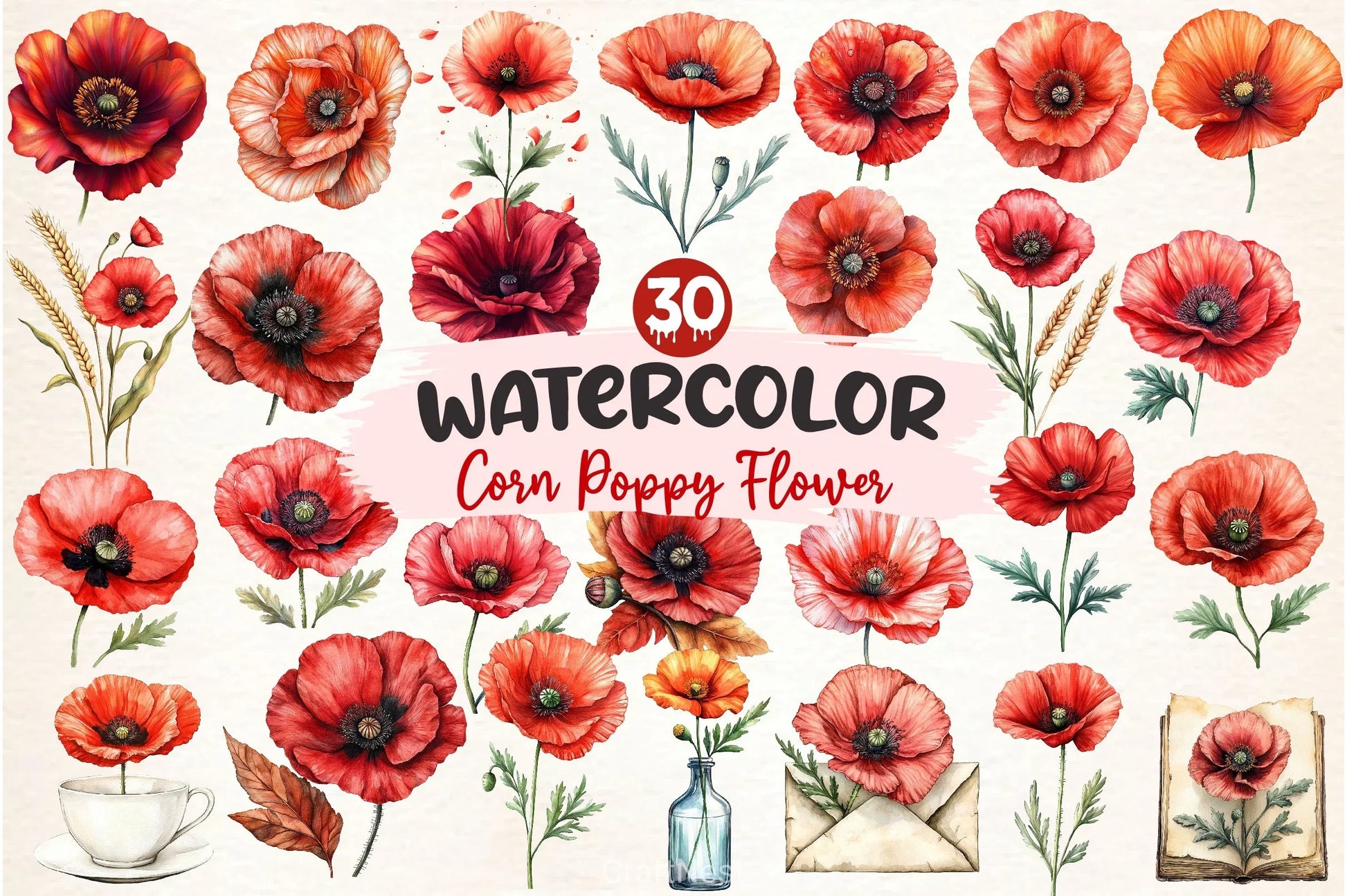 Corn Poppy Flower Bloom Clipart Bundle 2 - CraftNest - Digital Crafting and Art