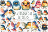 Whimsical Bird Clipart Bundle