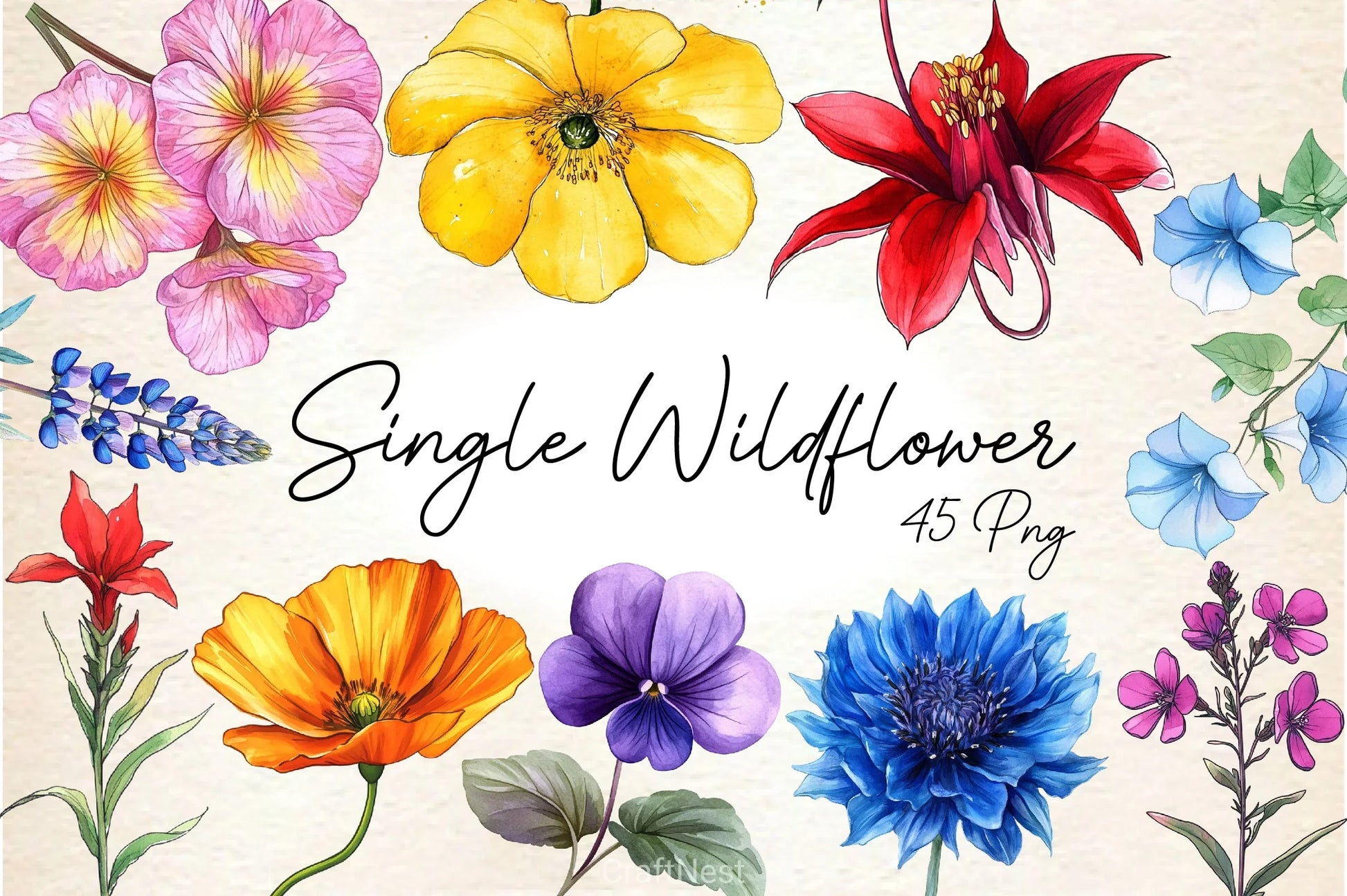 Single Wildflower Clipart Bundle - CraftNest - Digital Crafting and Art