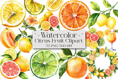 Citrus Fruit Clipart Bundle - CraftNest - Digital Crafting and Art