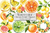 Citrus Fruit Clipart Bundle