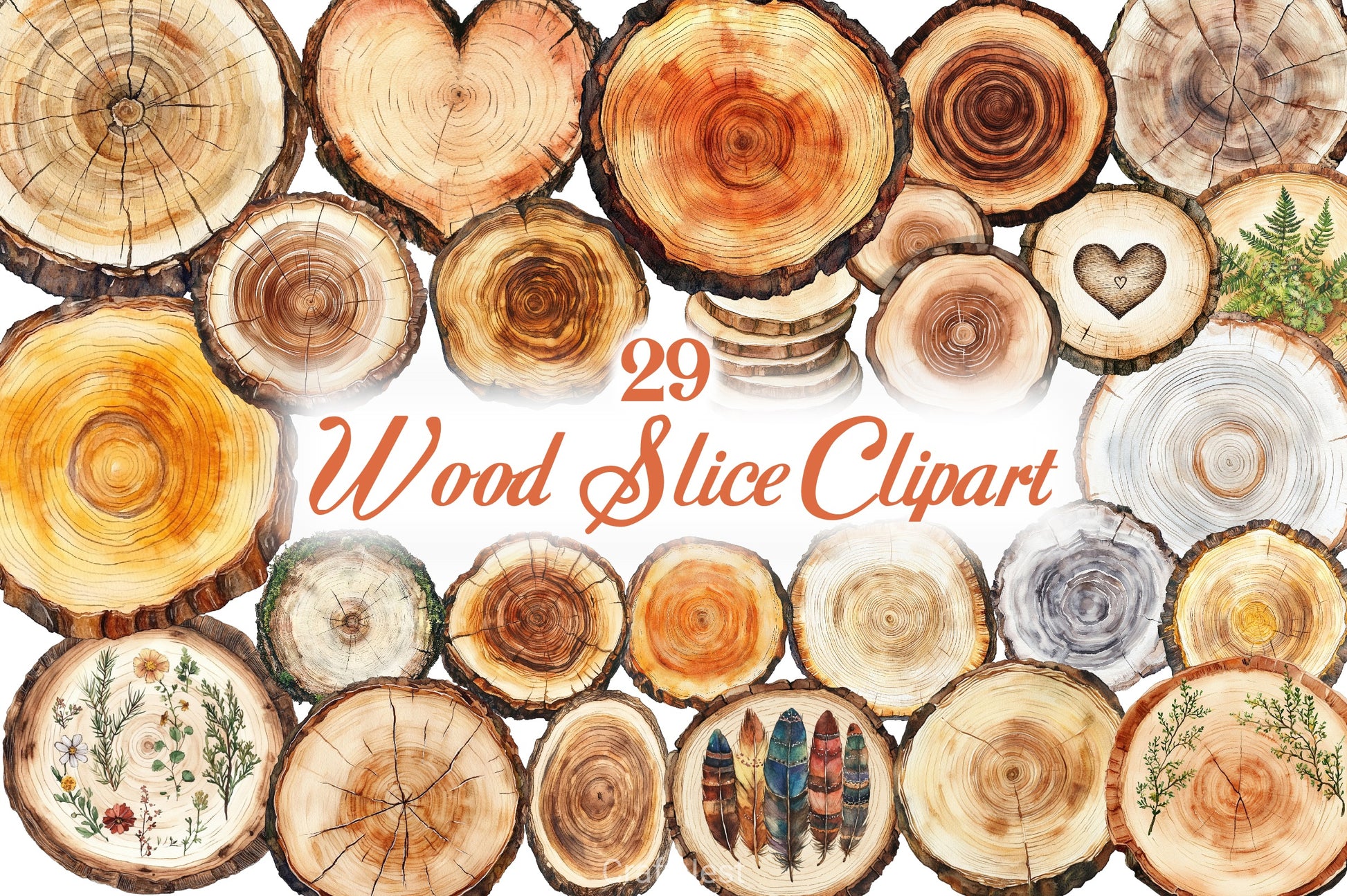 Wood Slice Clipart Bundle - CraftNest - Digital Crafting and Art
