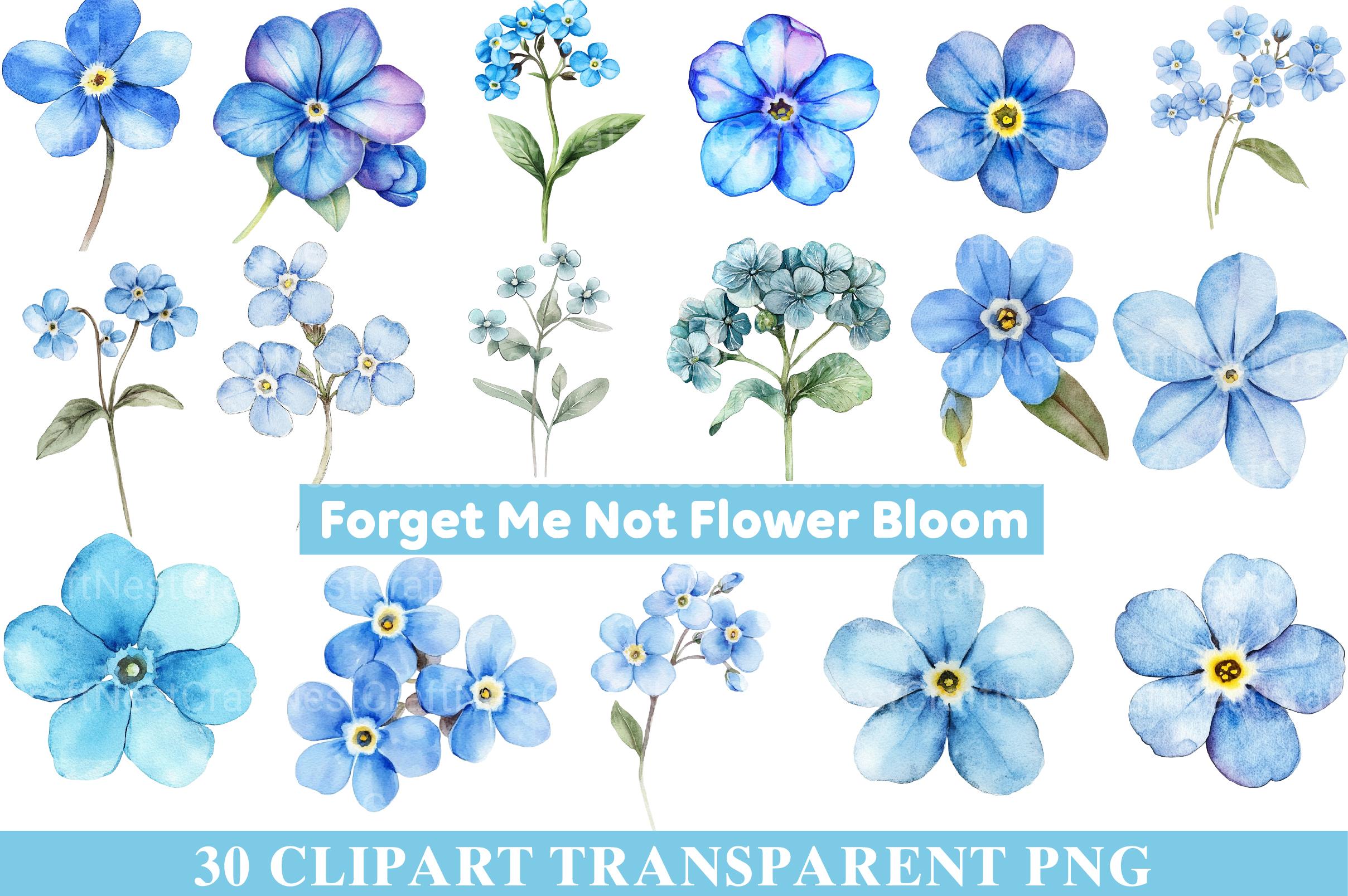 Forget Me Not Flower Bloom Clipart - CraftNest - Digital Crafting and Art