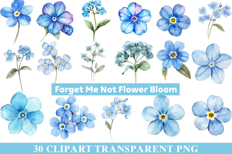 Forget Me Not Flower Bloom Clipart - CraftNest - Digital Crafting and Art