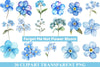 Forget Me Not Flower Bloom Clipart