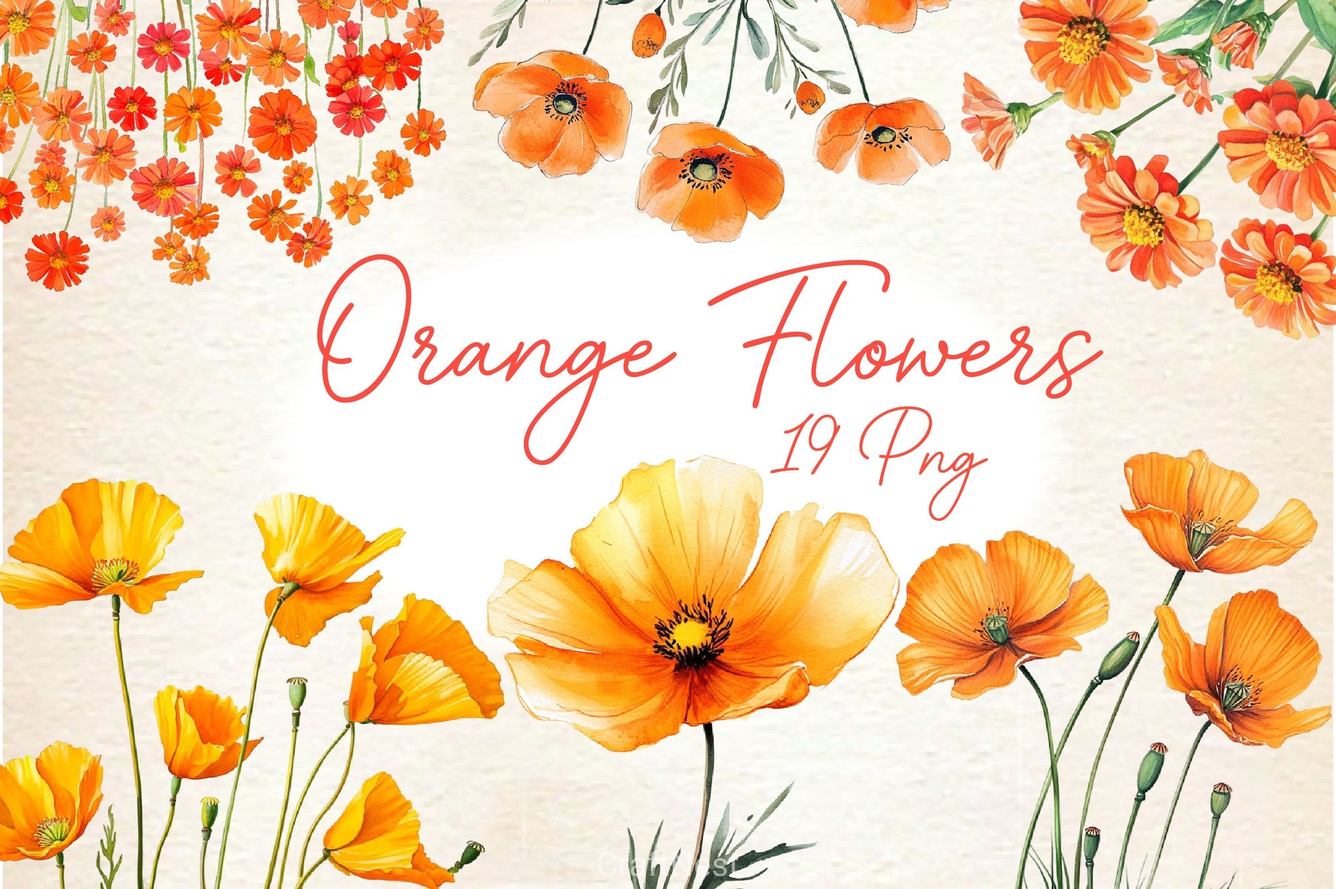 Wild Floral Orange Flowers Clipart Bundle - CraftNest - Digital Crafting and Art