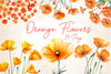 Wild Floral Orange Flowers Clipart Bundle