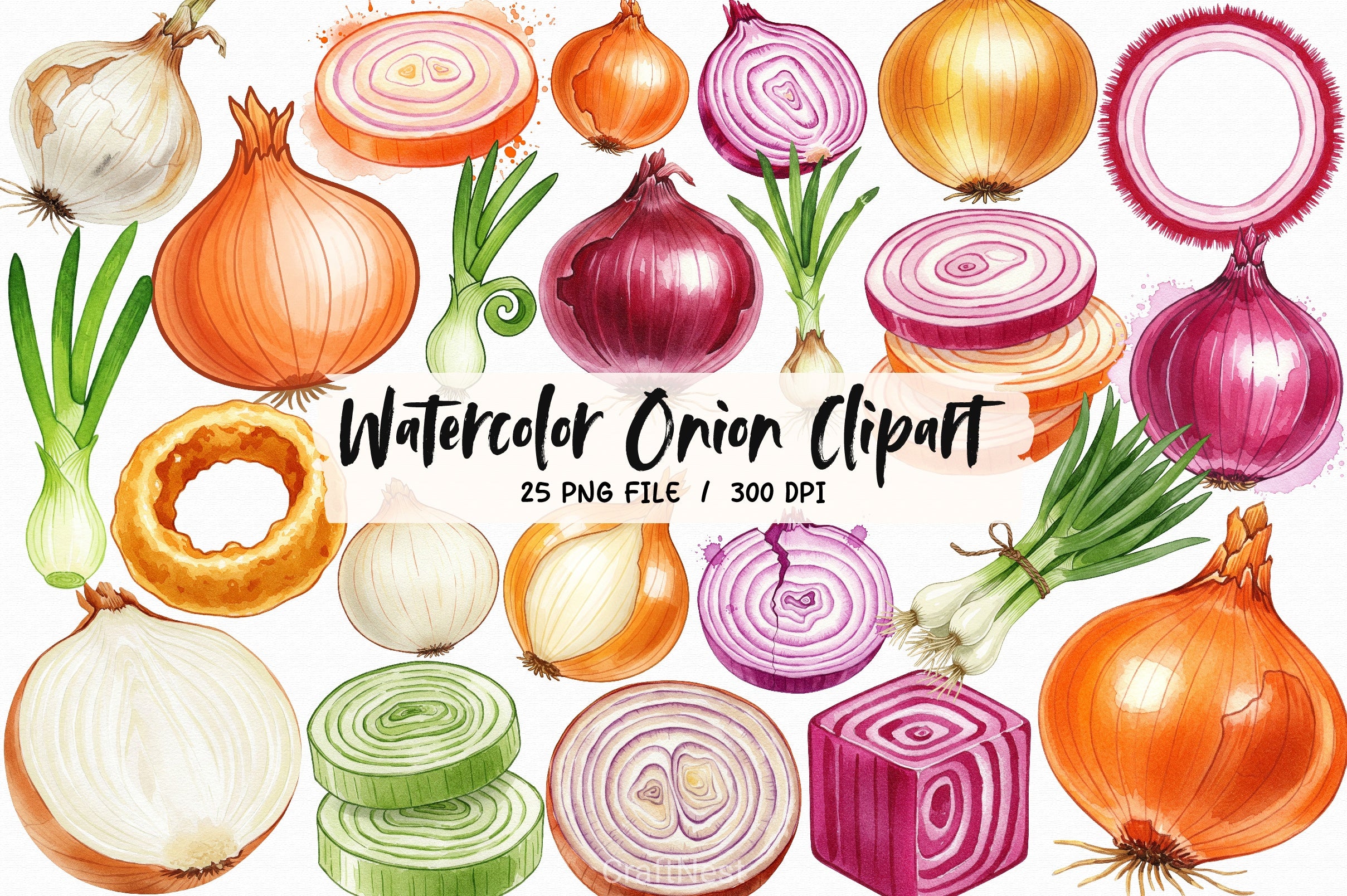 Onion Clipart Bundle 1 - CraftNest - Digital Crafting and Art