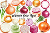 Onion Clipart Bundle 1