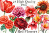Red Flowers Clipart Bundle