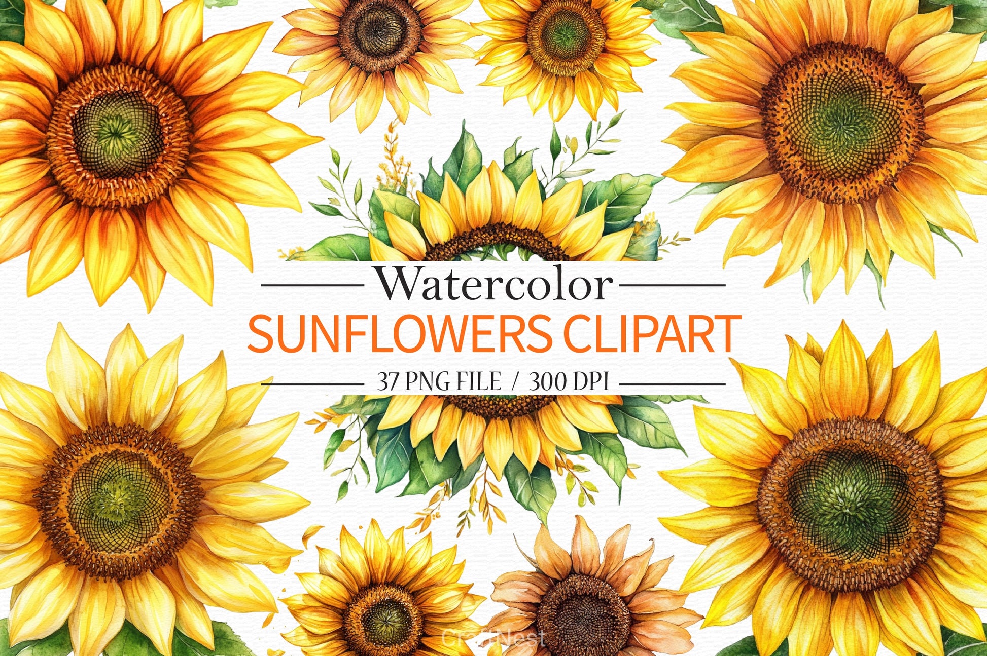 Sunflowers Clipart Bundle - CraftNest - Digital Crafting and Art