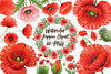 Poppies Clipart Bundle 1