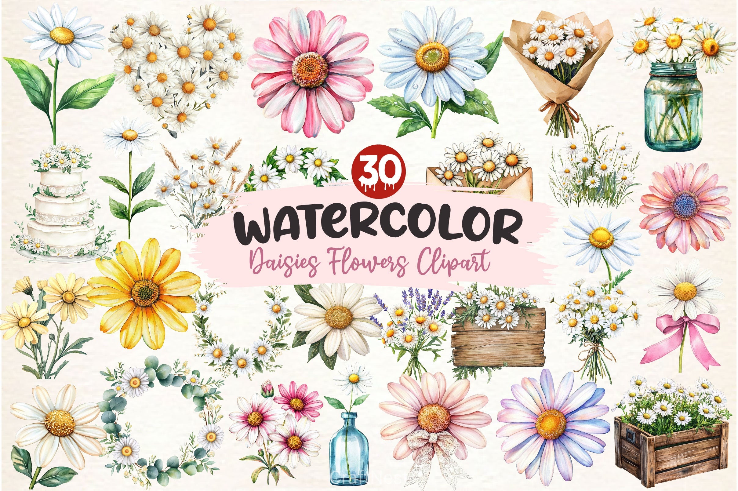 Daisies Flowers Clipart Bundle - CraftNest - Digital Crafting and Art
