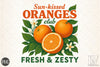 Sunkissed Oranges Clipart Bundle
