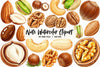 Nuts Clipart Bundle 5