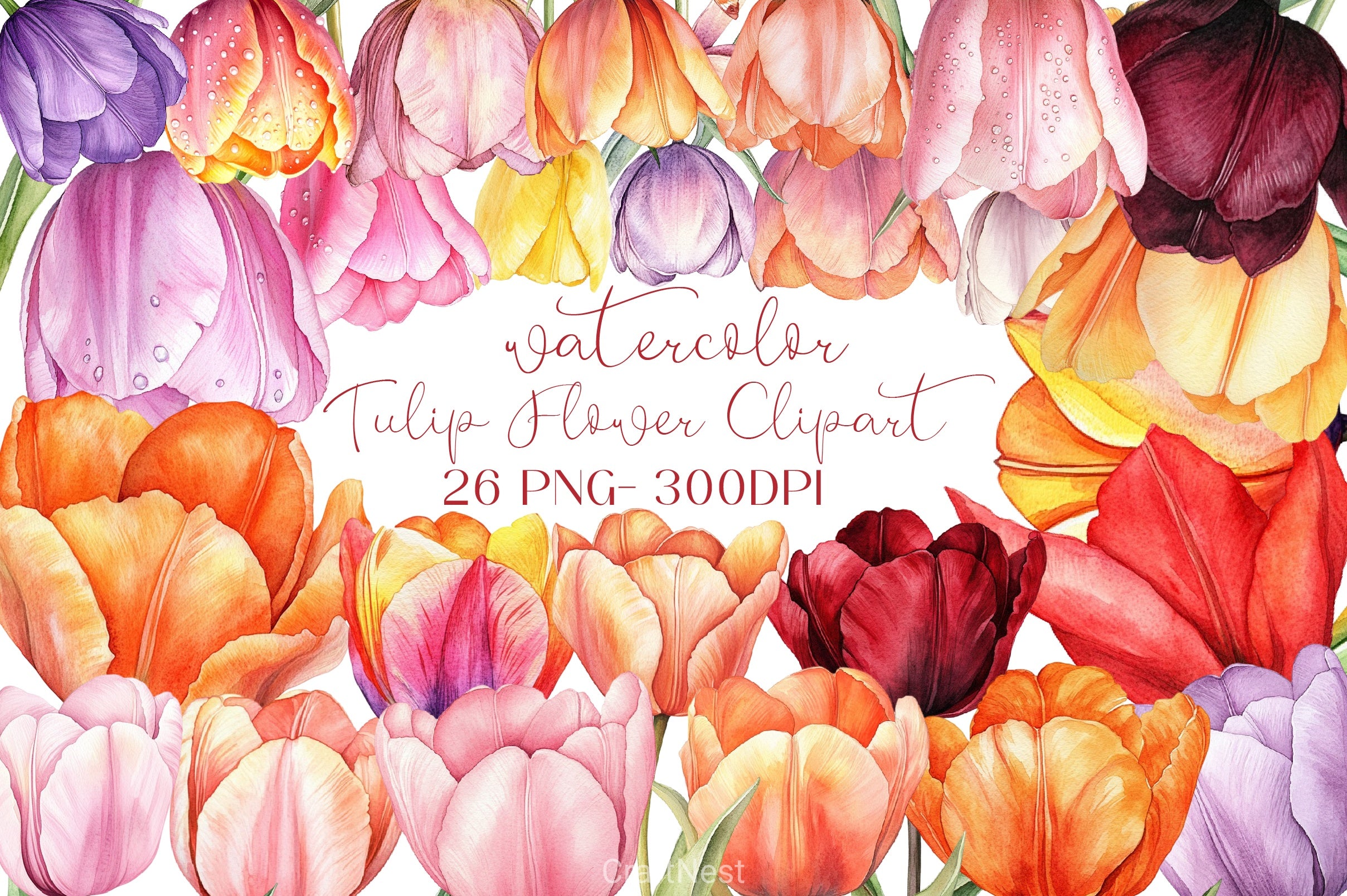 Tulip Flower Clipart Bundle 5 - CraftNest - Digital Crafting and Art