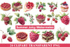 Raspberry Clipart