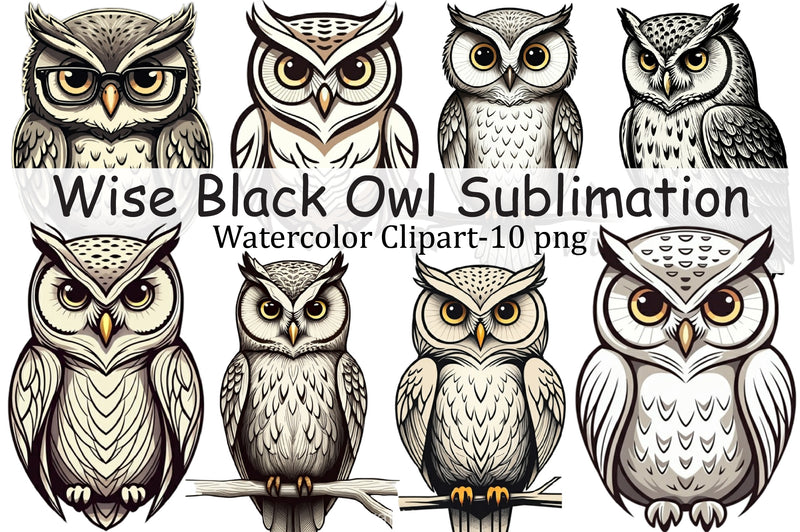 Wise Black Owl Clipart Bundle - CraftNest - Digital Crafting and Art