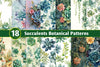Succulents Botanical Patterns Clipart Bundle