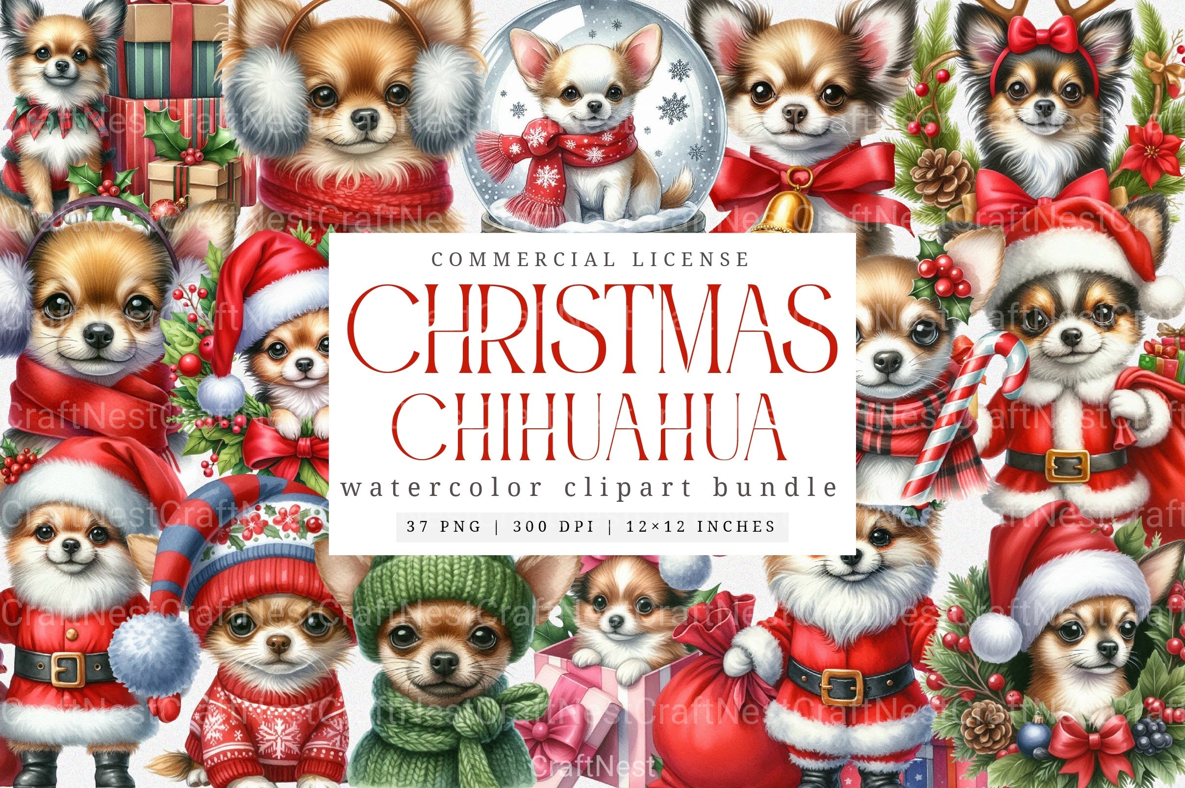 Christmas Chihuahua Clipart - CraftNest - Digital Crafting and Art