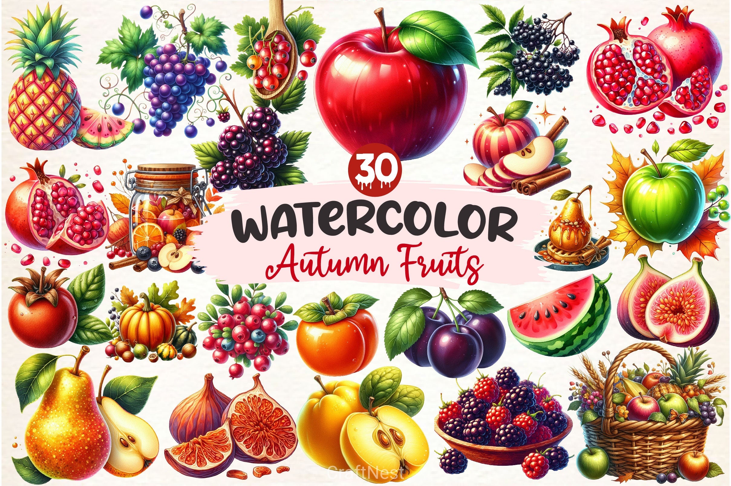 Autumn Fruits Clipart Bundle 4 - CraftNest - Digital Crafting and Art