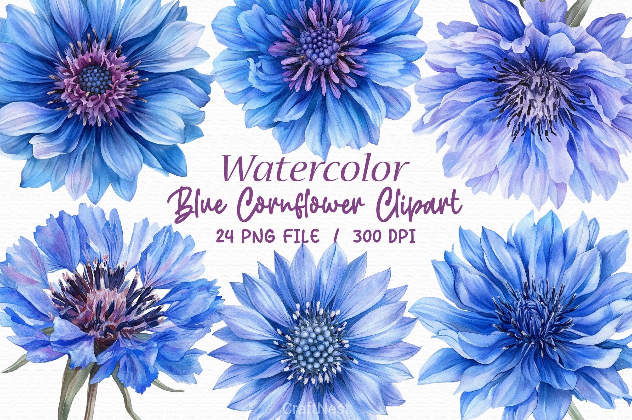 Blue Cornflower Clipart Bundle 2 - CraftNest - Digital Crafting and Art