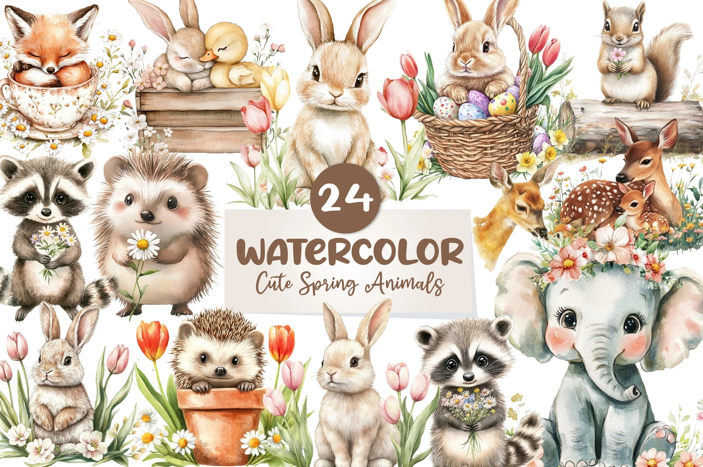 Animals Spring Dra Cute Spring Animals Clipart Bundle