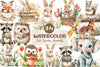 Cute Spring Animals Clipart Bundle