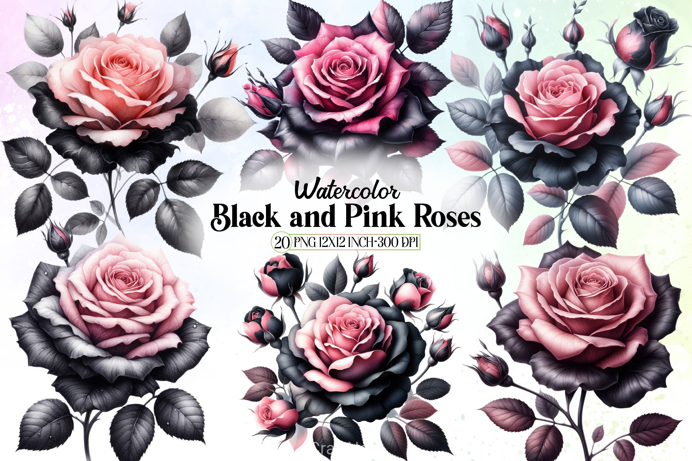 Black & Pink Roses Clipart Bundle - CraftNest - Digital Crafting and Art