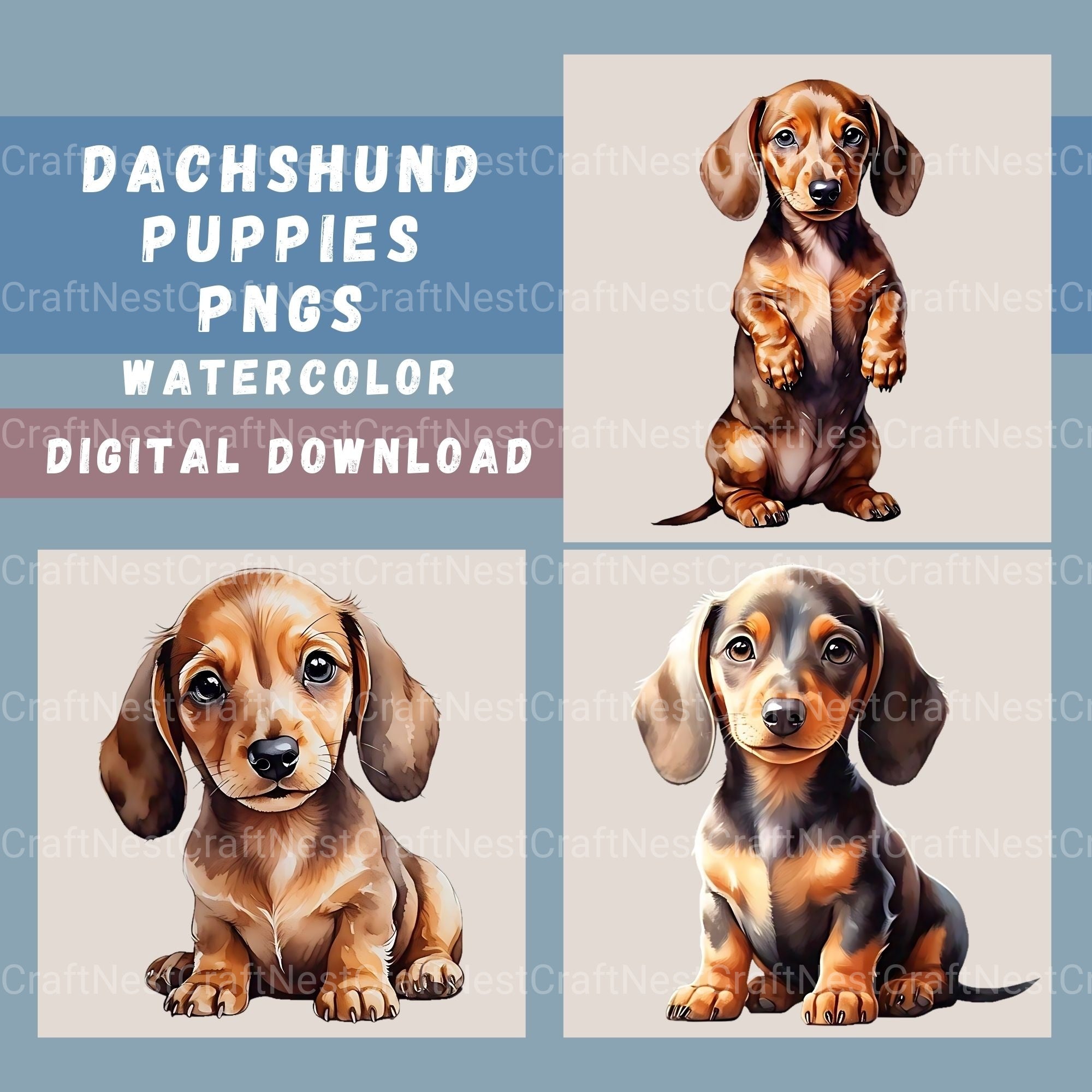 Dachshund Puppies Clipart Bundle 1 - CraftNest - Digital Crafting and Art