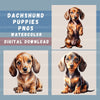 Dachshund Puppies Clipart Bundle 1