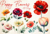 Aesthetic Poppy Flowers Clipart Bundle