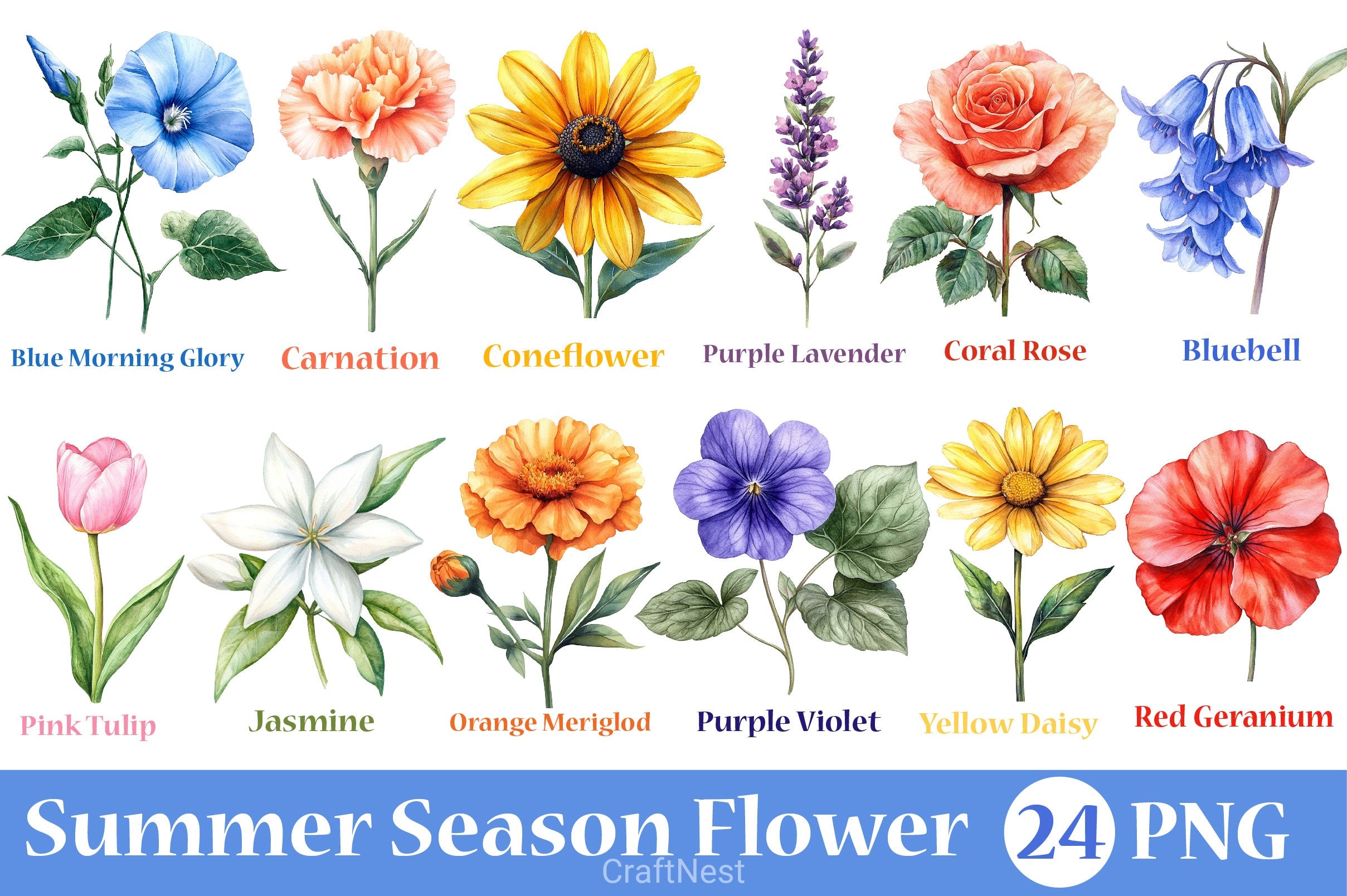 Summer Season Flower Clipart Bundle - CraftNest - Digital Crafting and Art