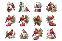 Christmas Red Cardinal Festive Bird Clipart Bundle - Digital Download - CraftNest - Digital Crafting and Art