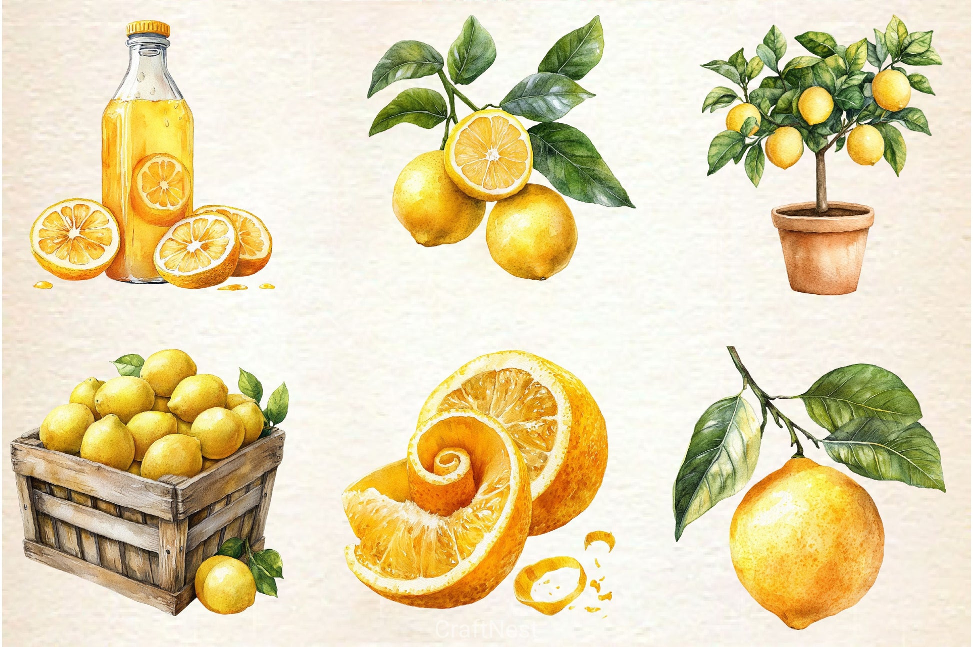 Mediterranean Lemon Botanical Clipart Bundle 4 - CraftNest - Digital Crafting and Art