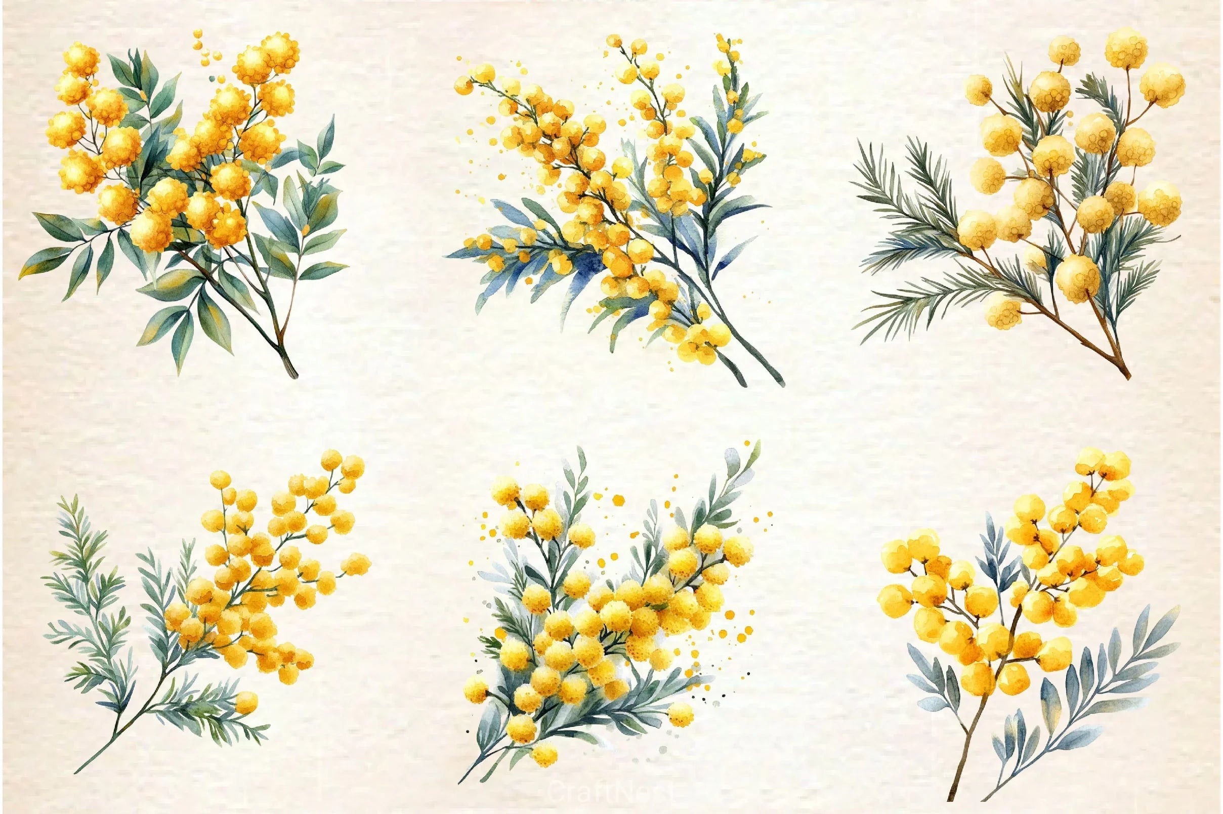 Mimosa Flower Clipart Bundle 2 - CraftNest - Digital Crafting and Art