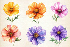 Cosmos Flower Bloom Clipart Bundle 2 - CraftNest - Digital Crafting and Art