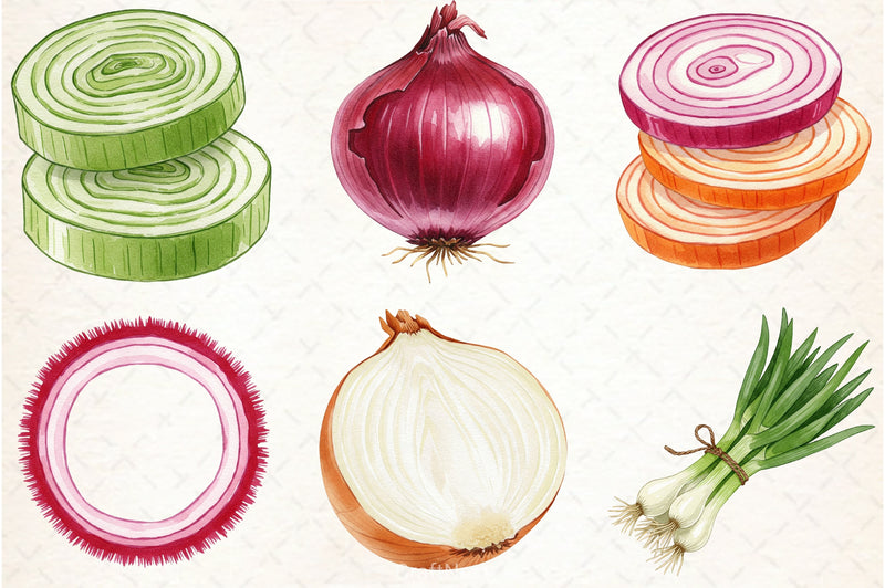 Onion Clipart Bundle - CraftNest - Digital Crafting and Art