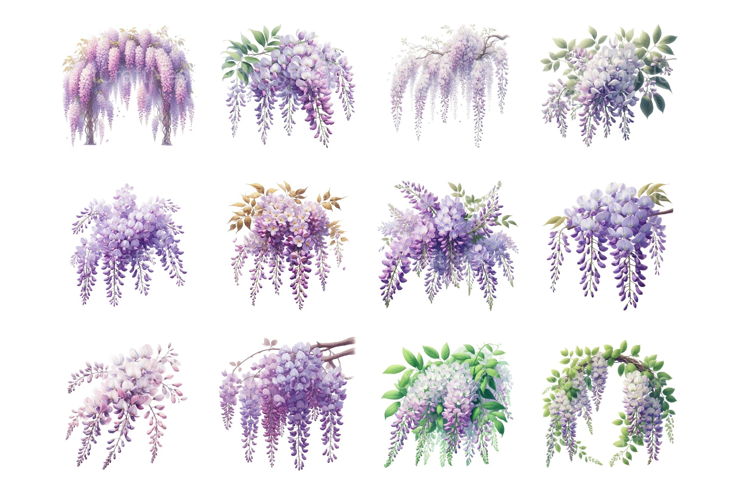 Wisteria Floral Garden Clipart Bundle - CraftNest - Digital Crafting and Art