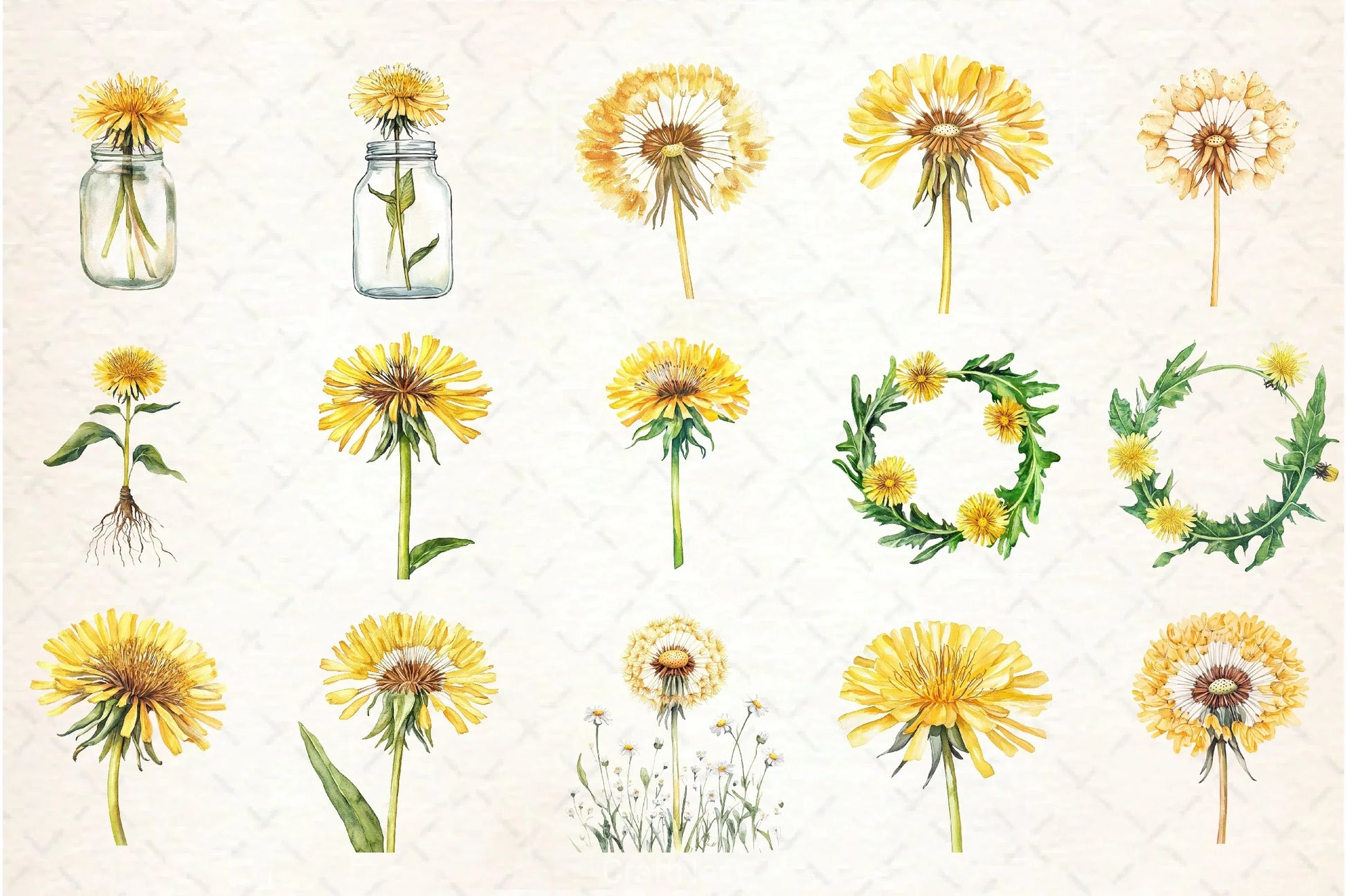 Dandelion Clipart Bundle - CraftNest - Digital Crafting and Art