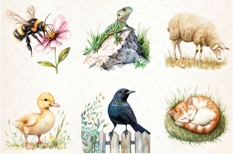 Garden Animals Clipart Bundle - CraftNest - Digital Crafting and Art