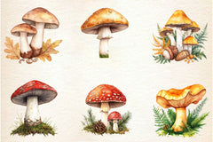 Botanical Autumn Mushrooms Clipart Bundle - CraftNest - Digital Crafting and Art