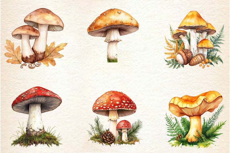 Botanical Autumn Mushrooms Clipart Bundle - CraftNest - Digital Crafting and Art