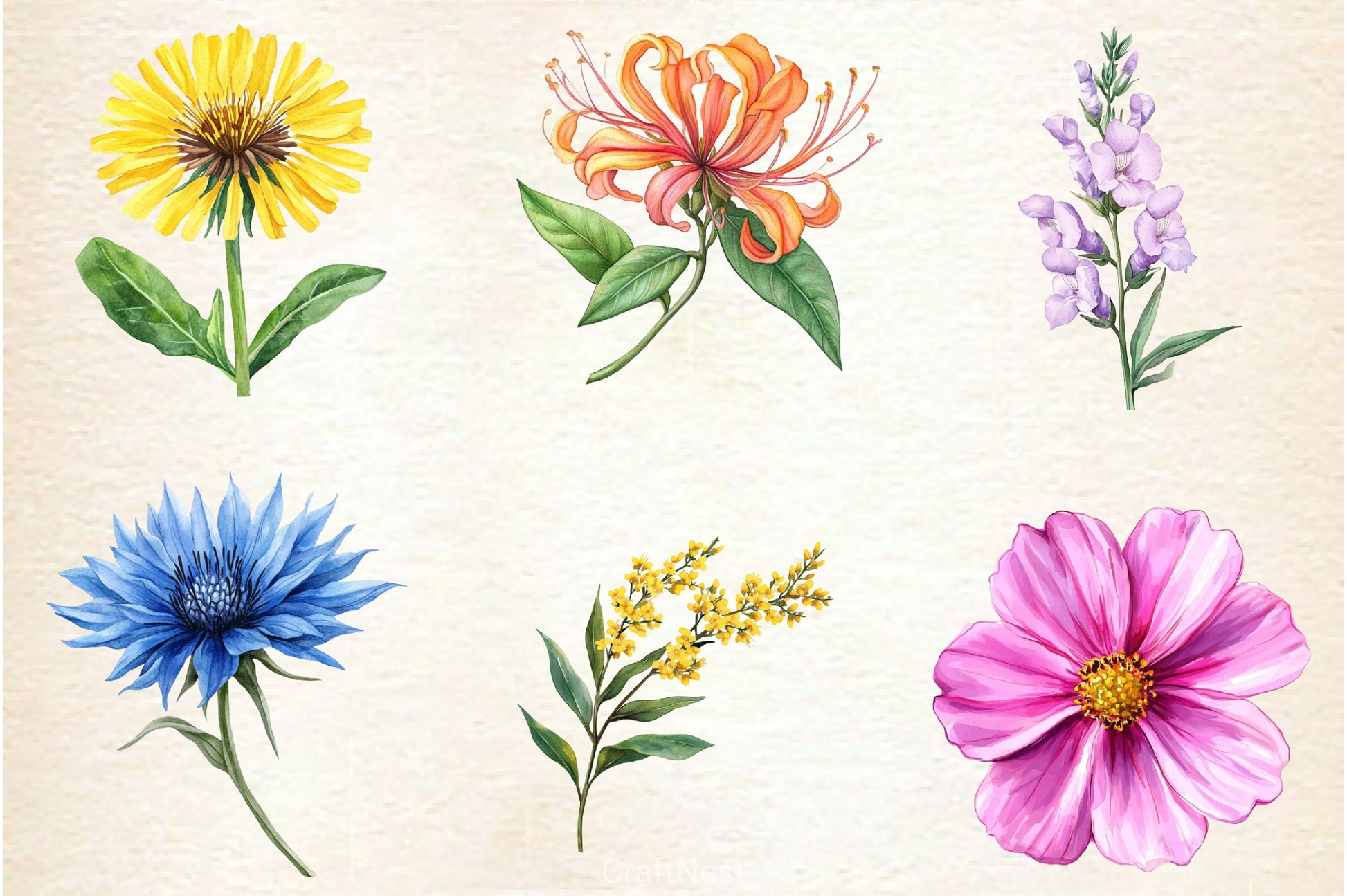 Wildflowers Clipart Bundle 3 - CraftNest - Digital Crafting and Art