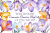 Crocuses Flowers Clipart Bundle